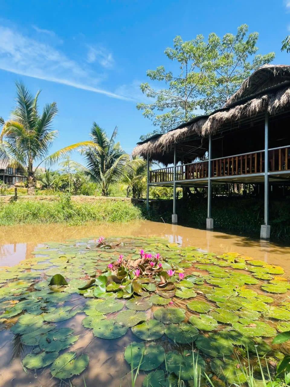 Hotel Mai Chau Onsen Retreat Esterno foto